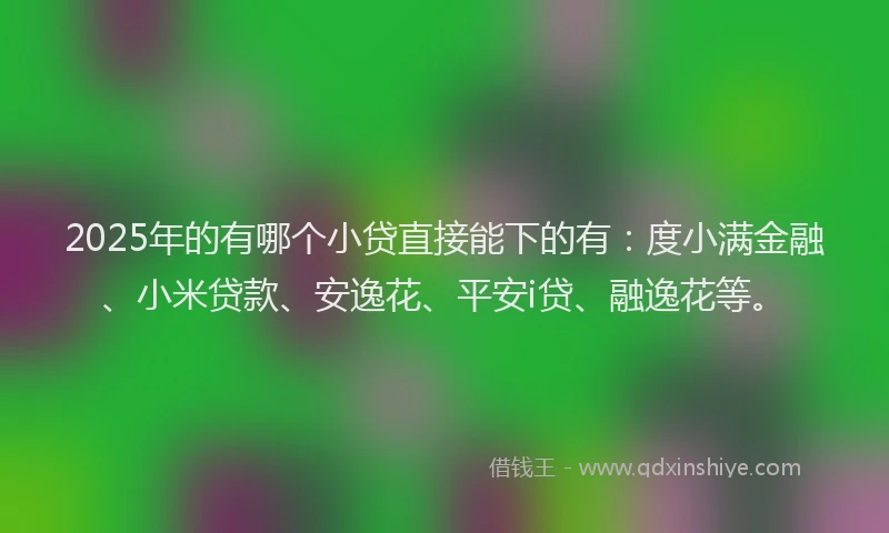 2025年的有哪个小贷直接能下的有：度小满金融、小米贷款、安逸花、平安i贷、融逸花等。