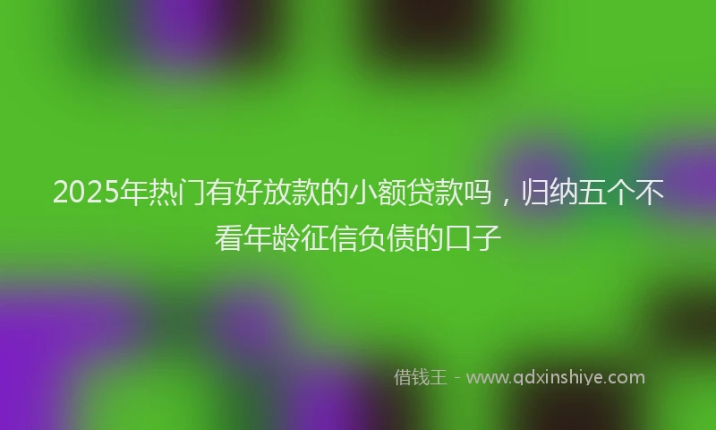 2025年热门有好放款的小额贷款吗，归纳五个不看年龄征信负债的口子
