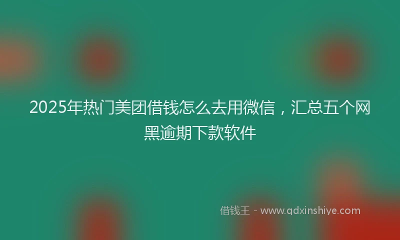 2025年热门美团借钱怎么去用微信，汇总五个网黑逾期下款软件