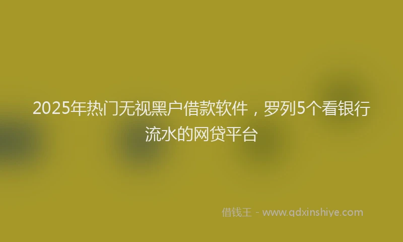 2025年热门无视黑户借款软件，罗列5个看银行流水的网贷平台