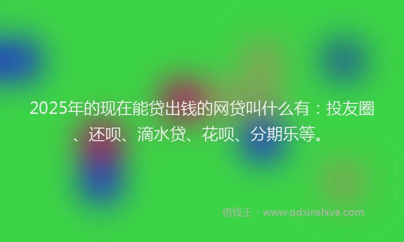 2025年的现在能贷出钱的网贷叫什么有：投友圈、还呗、滴水贷、花呗、分期乐等。