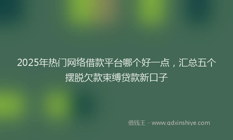 2025年热门网络借款平台哪个好一点，汇总五个摆脱欠款束缚贷款新口子