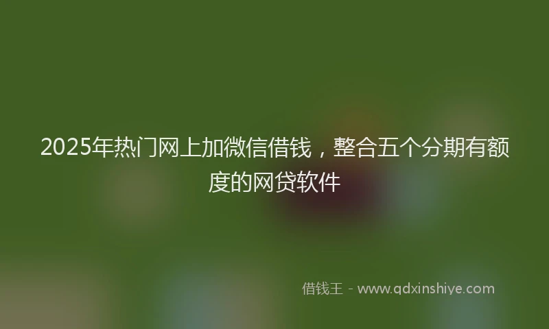 2025年热门网上加微信借钱，整合五个分期有额度的网贷软件