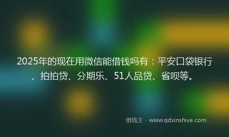 2025年的现在用微信能借钱吗有：平安口袋银行、拍拍贷、分期乐、51人品贷、省呗等。