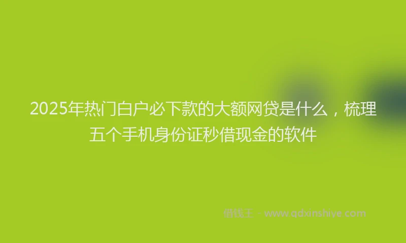 2025年热门白户必下款的大额网贷是什么，梳理五个手机身份证秒借现金的软件