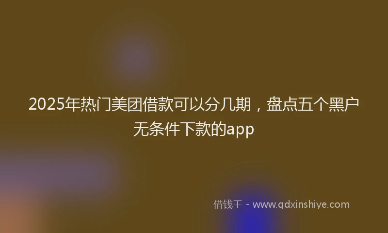 2025年热门美团借款可以分几期，盘点五个黑户无条件下款的app