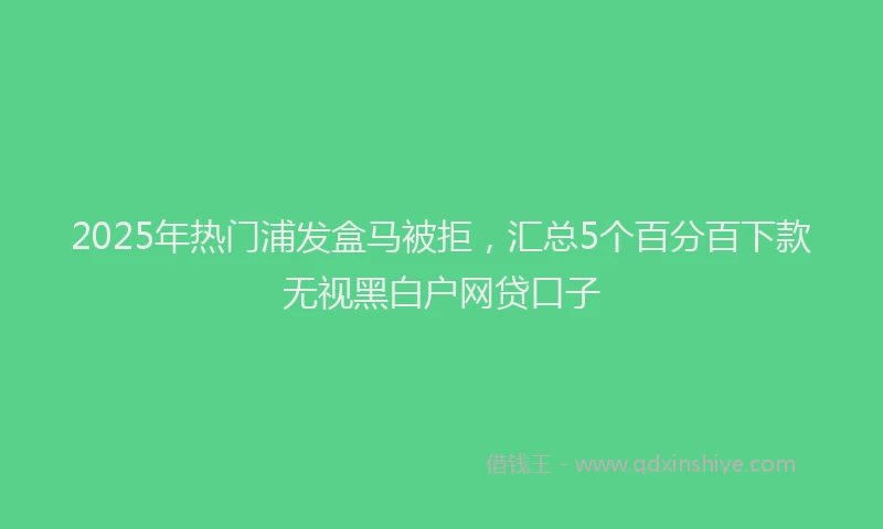 2025年热门浦发盒马被拒，汇总5个百分百下款无视黑白户网贷口子
