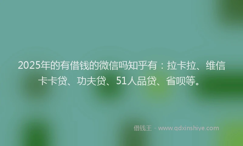2025年的有借钱的微信吗知乎有：拉卡拉、维信卡卡贷、功夫贷、51人品贷、省呗等。