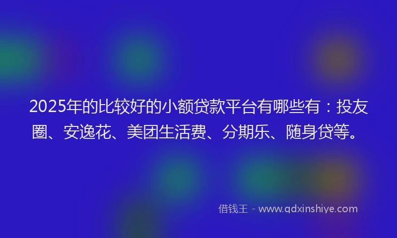 2025年的比较好的小额贷款平台有哪些有：投友圈、安逸花、美团生活费、分期乐、随身贷等。