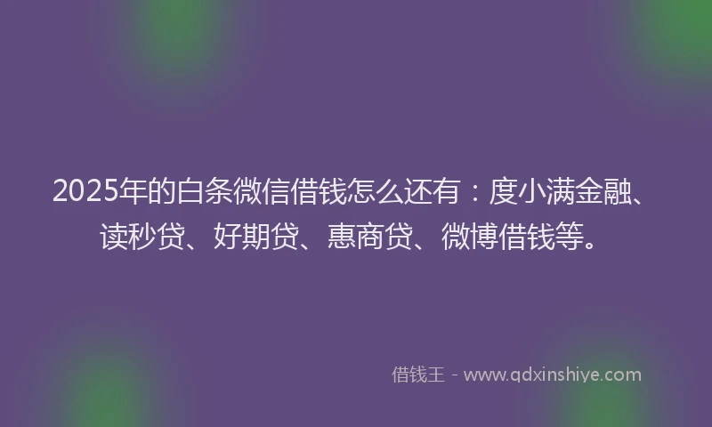 2025年的白条微信借钱怎么还有：度小满金融、读秒贷、好期贷、惠商贷、微博借钱等。
