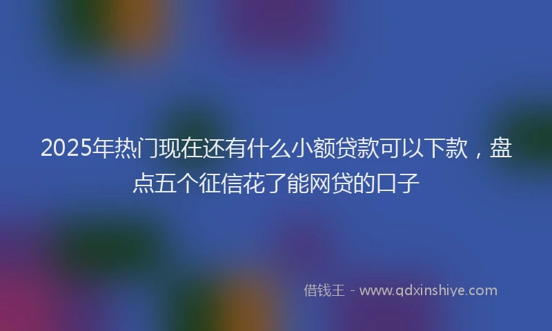 2025年热门现在还有什么小额贷款可以下款，盘点五个征信花了能网贷的口子