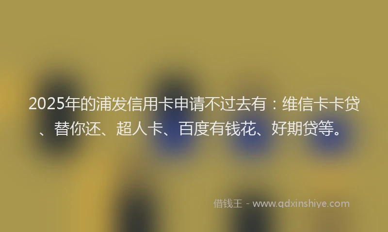 2025年的浦发信用卡申请不过去有：维信卡卡贷、替你还、超人卡、百度有钱花、好期贷等。