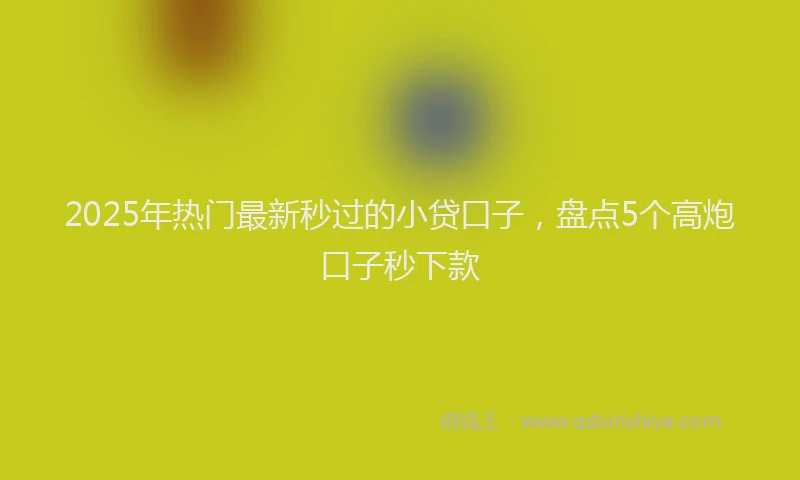 2025年热门最新秒过的小贷口子，盘点5个高炮口子秒下款