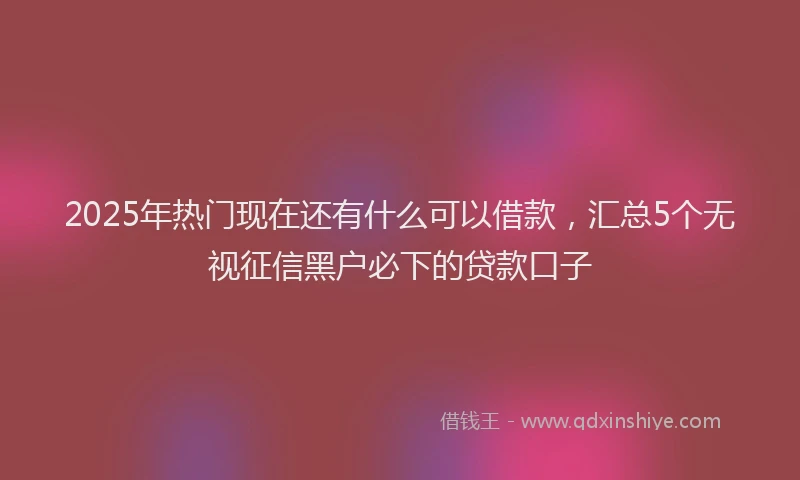 2025年热门现在还有什么可以借款，汇总5个无视征信黑户必下的贷款口子