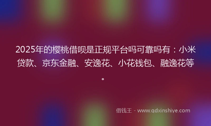2025年的樱桃借呗是正规平台吗可靠吗有：小米贷款、京东金融、安逸花、小花钱包、融逸花等。