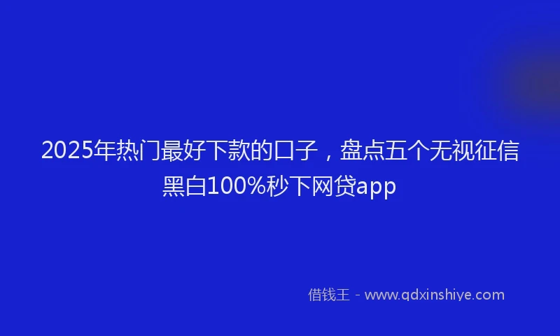2025年热门最好下款的口子，盘点五个无视征信黑白100%秒下网贷app
