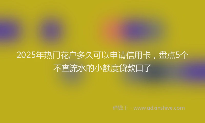 2025年热门花户多久可以申请信用卡，盘点5个不查流水的小额度贷款口子