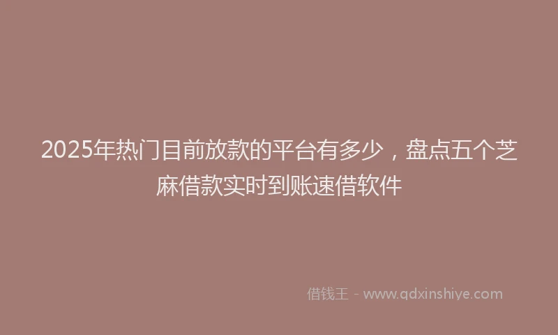 2025年热门目前放款的平台有多少，盘点五个芝麻借款实时到账速借软件