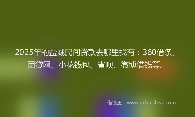 2025年的盐城民间贷款去哪里找有：360借条、团贷网、小花钱包、省呗、微博借钱等。