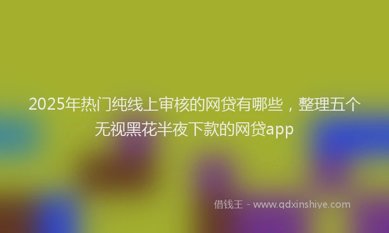2025年热门纯线上审核的网贷有哪些，整理五个无视黑花半夜下款的网贷app