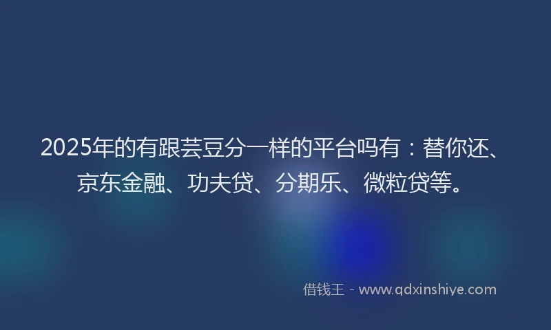 2025年的有跟芸豆分一样的平台吗有：替你还、京东金融、功夫贷、分期乐、微粒贷等。