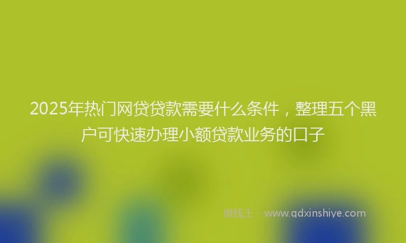 2025年热门网贷贷款需要什么条件，整理五个黑户可快速办理小额贷款业务的口子