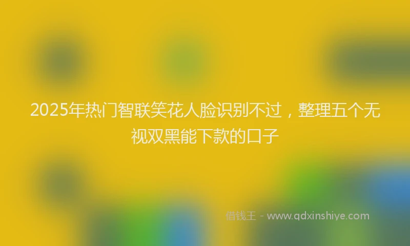 2025年热门智联笑花人脸识别不过，整理五个无视双黑能下款的口子