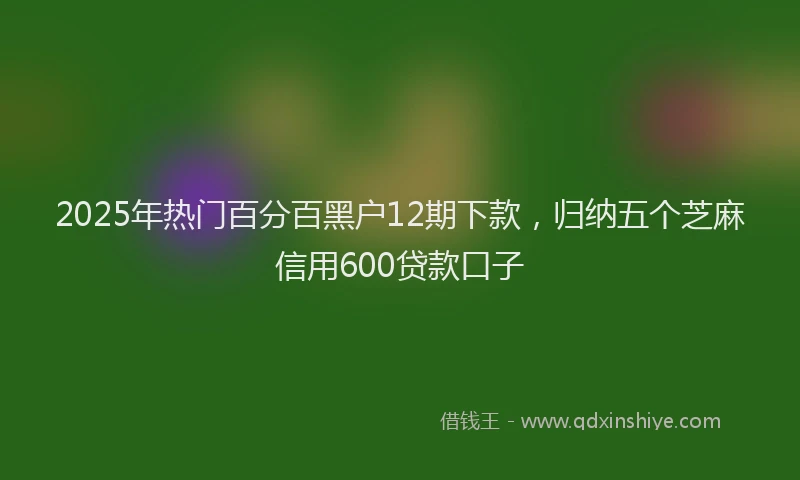 2025年热门百分百黑户12期下款，归纳五个芝麻信用600贷款口子