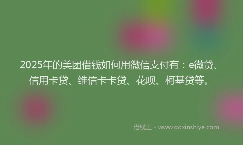 2025年的美团借钱如何用微信支付有：e微贷、信用卡贷、维信卡卡贷、花呗、柯基贷等。