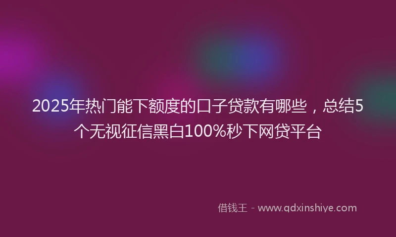 2025年热门能下额度的口子贷款有哪些，总结5个无视征信黑白100%秒下网贷平台