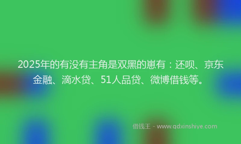 2025年的有没有主角是双黑的崽有：还呗、京东金融、滴水贷、51人品贷、微博借钱等。