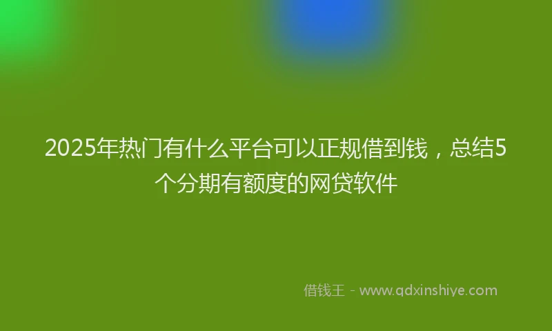 2025年热门有什么平台可以正规借到钱，总结5个分期有额度的网贷软件