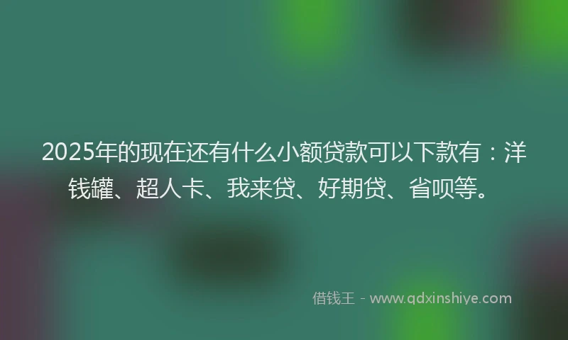 2025年的现在还有什么小额贷款可以下款有：洋钱罐、超人卡、我来贷、好期贷、省呗等。