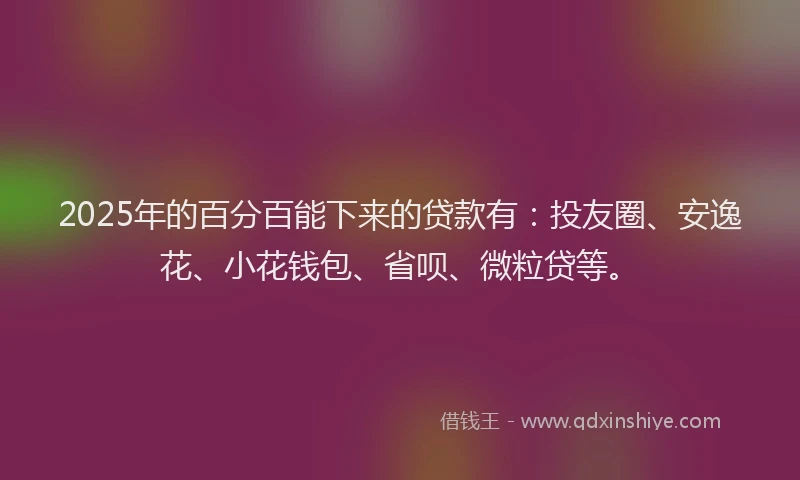 2025年的百分百能下来的贷款有：投友圈、安逸花、小花钱包、省呗、微粒贷等。