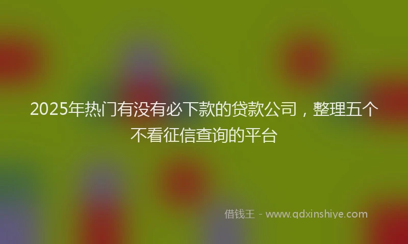 2025年热门有没有必下款的贷款公司，整理五个不看征信查询的平台