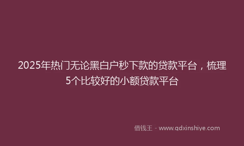 2025年热门无论黑白户秒下款的贷款平台，梳理5个比较好的小额贷款平台