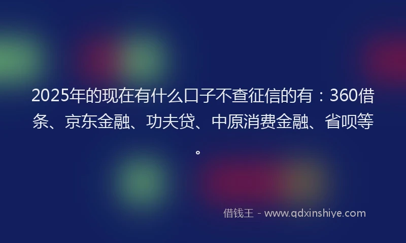 2025年的现在有什么口子不查征信的有：360借条、京东金融、功夫贷、中原消费金融、省呗等。