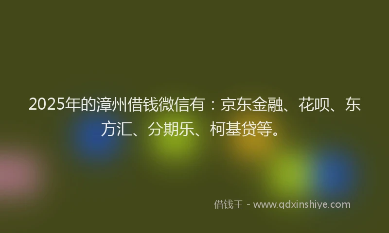 2025年的漳州借钱微信有：京东金融、花呗、东方汇、分期乐、柯基贷等。