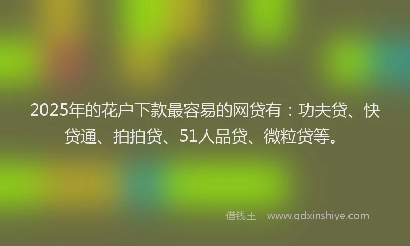 2025年的花户下款最容易的网贷有：功夫贷、快贷通、拍拍贷、51人品贷、微粒贷等。
