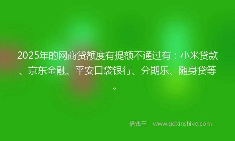 2025年的网商贷额度有提额不通过有：小米贷款、京东金融、平安口袋银行、分期乐、随身贷等。