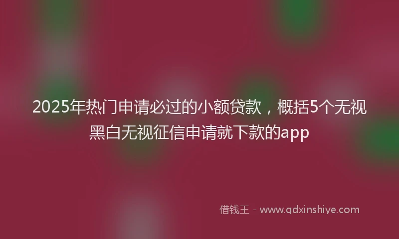 2025年热门申请必过的小额贷款，概括5个无视黑白无视征信申请就下款的app