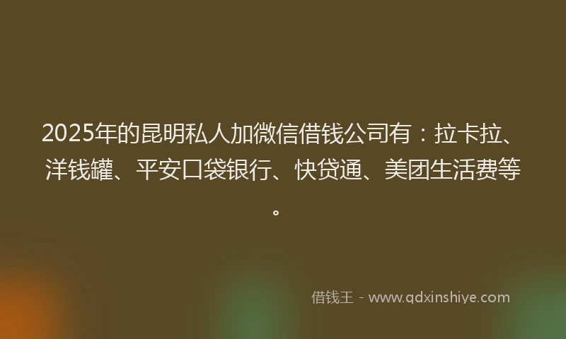 2025年的昆明私人加微信借钱公司有：拉卡拉、洋钱罐、平安口袋银行、快贷通、美团生活费等。
