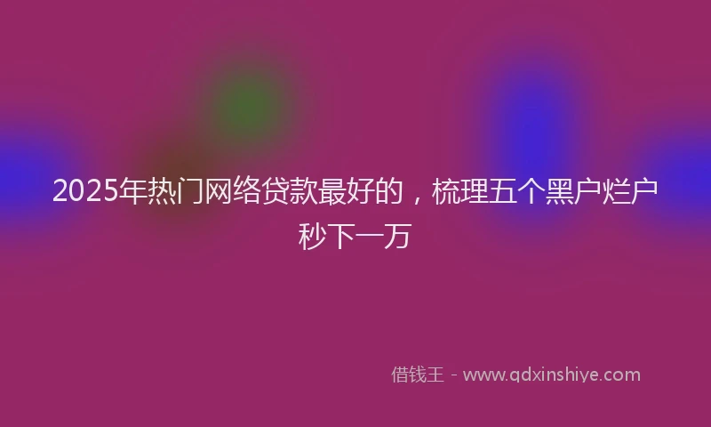 2025年热门网络贷款最好的，梳理五个黑户烂户秒下一万
