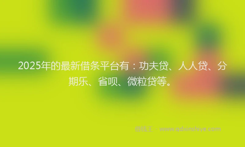 2025年的最新借条平台有：功夫贷、人人贷、分期乐、省呗、微粒贷等。