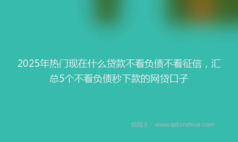 2025年热门现在什么贷款不看负债不看征信，汇总5个不看负债秒下款的网贷口子
