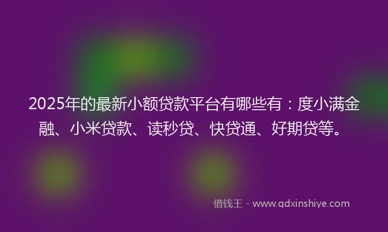 2025年的最新小额贷款平台有哪些有：度小满金融、小米贷款、读秒贷、快贷通、好期贷等。