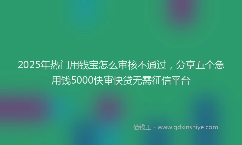 2025年热门用钱宝怎么审核不通过，分享五个急用钱5000快审快贷无需征信平台