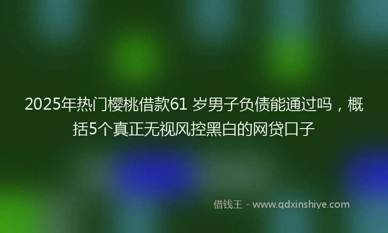 2025年热门樱桃借款61 岁男子负债能通过吗，概括5个真正无视风控黑白的网贷口子