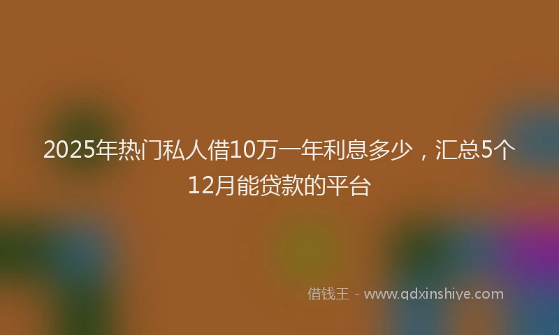 2025年热门私人借10万一年利息多少，汇总5个12月能贷款的平台