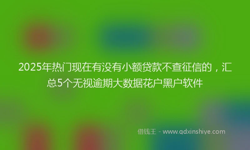 2025年热门现在有没有小额贷款不查征信的，汇总5个无视逾期大数据花户黑户软件